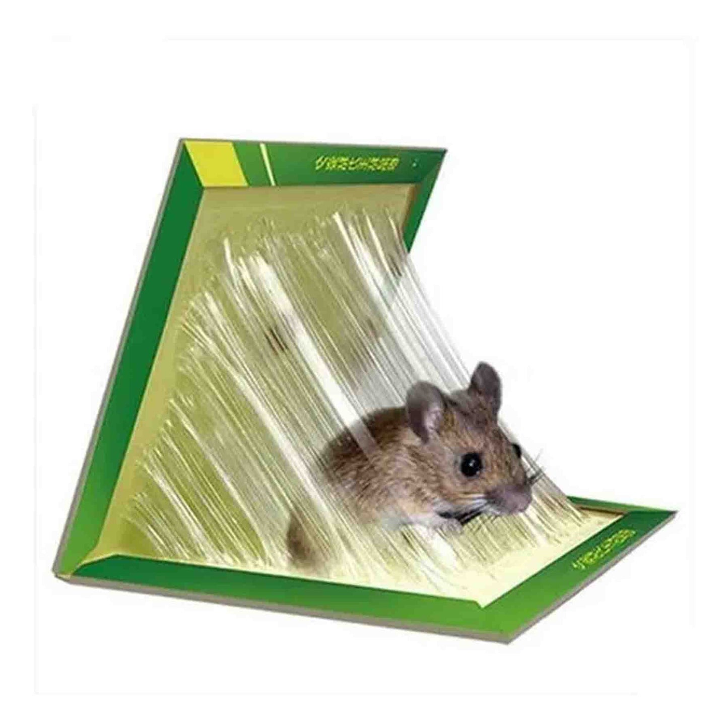 Laminas Trampa Atrapa Rata Ratón Pegamen