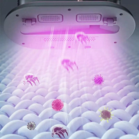 Aspiradora Anti Acaros Electrica antiaca